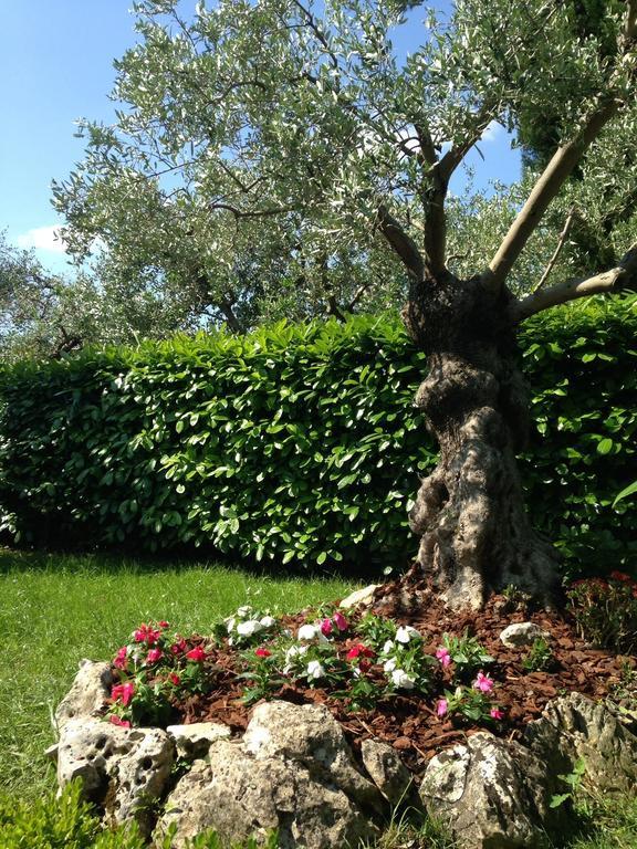 Da Debbie San Giovanni In Marignano Ruang foto